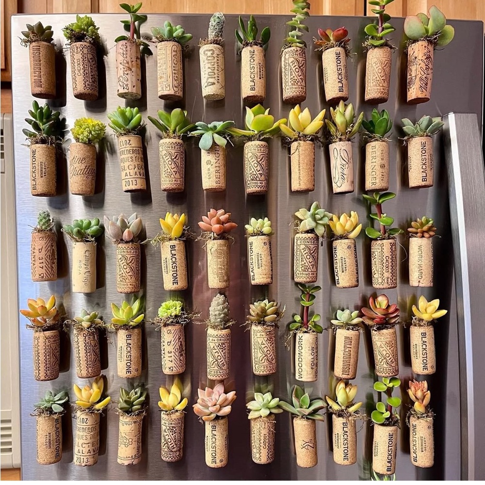 Succulent Cork Magnets